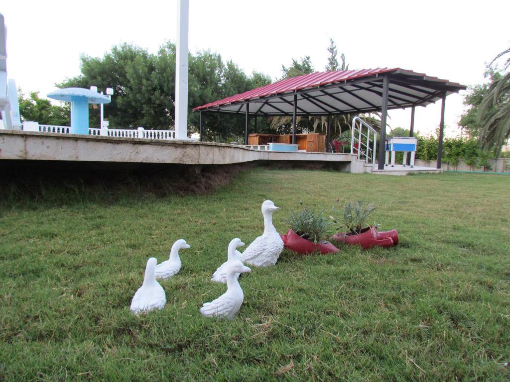 Dalyan Palmiye Resort Hotel Exterior foto